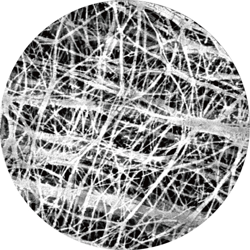 Enlarged view (electron microscopic image)